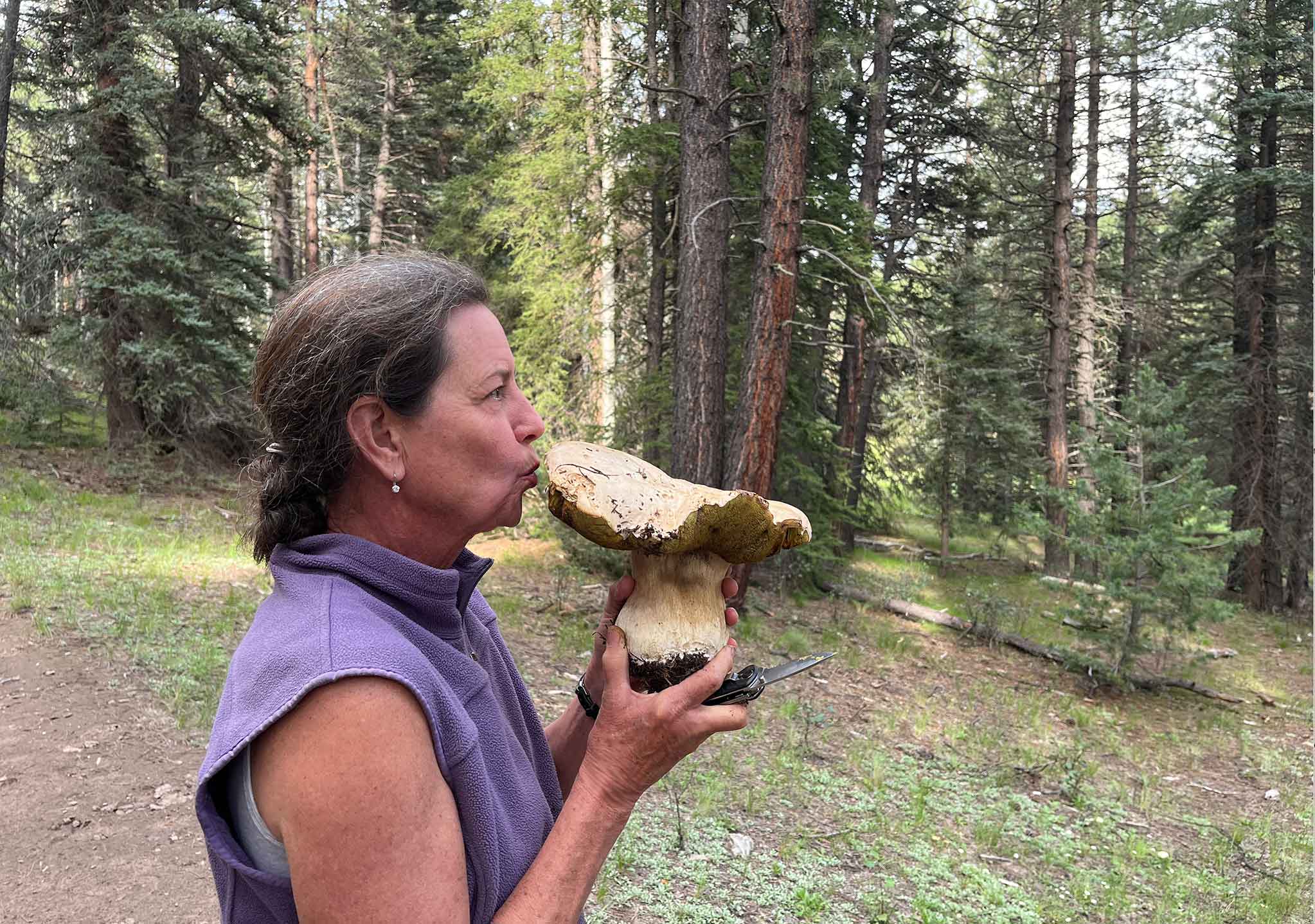 Barbara_mushroom